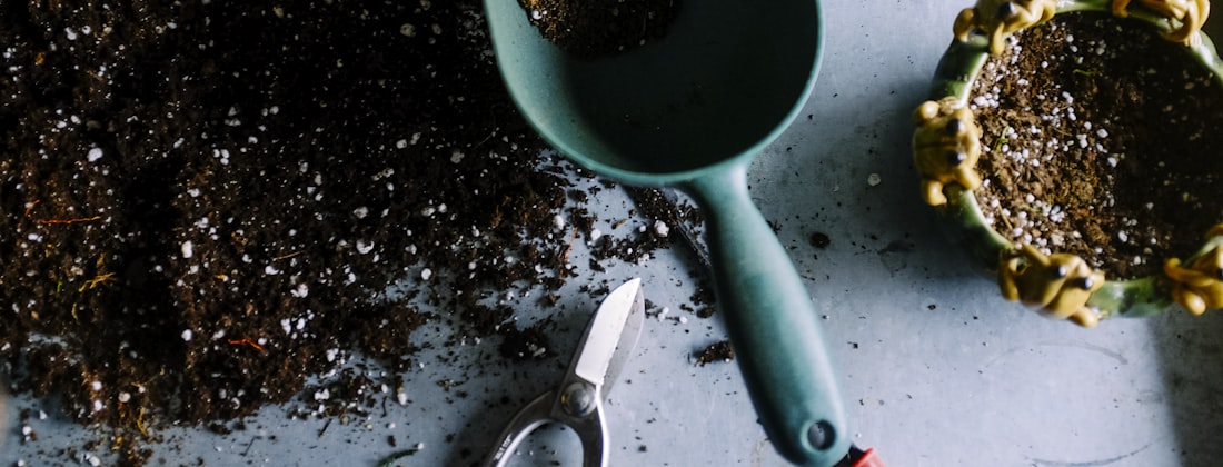 Garden tools and soil on a workbench