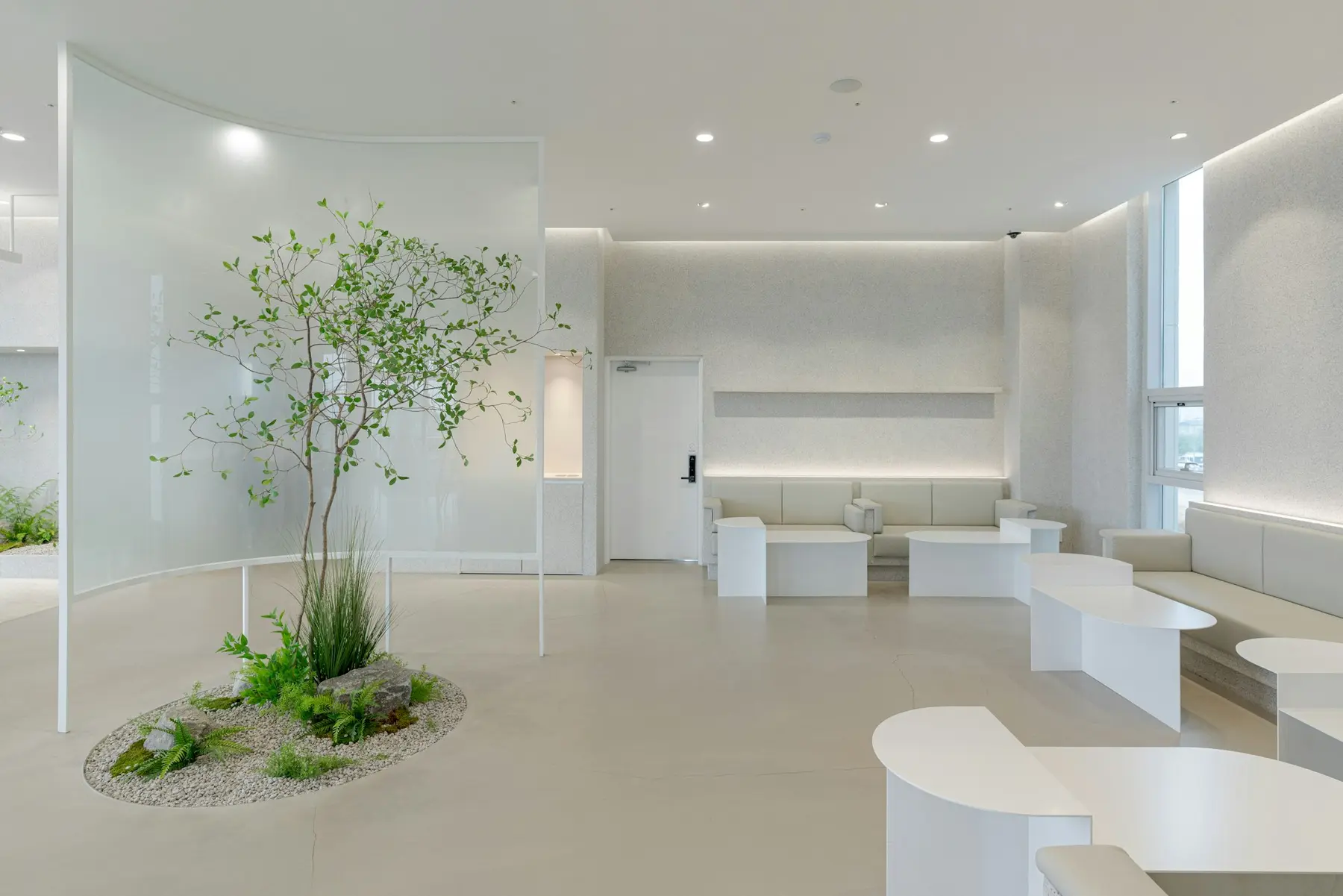 A bright white clinic waiting area with curved seating and a small tree